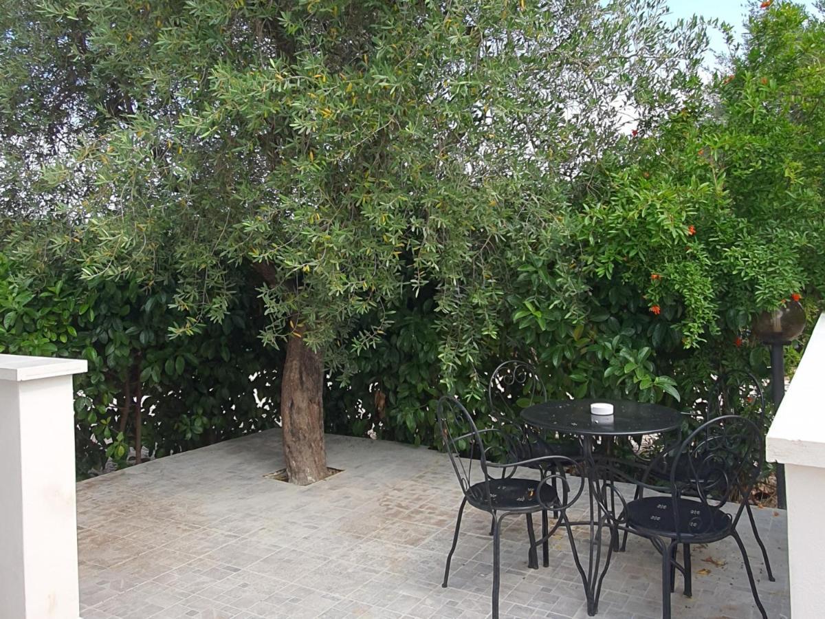 All'Ombra Dell'Ulivo Monopoli Εξωτερικό φωτογραφία