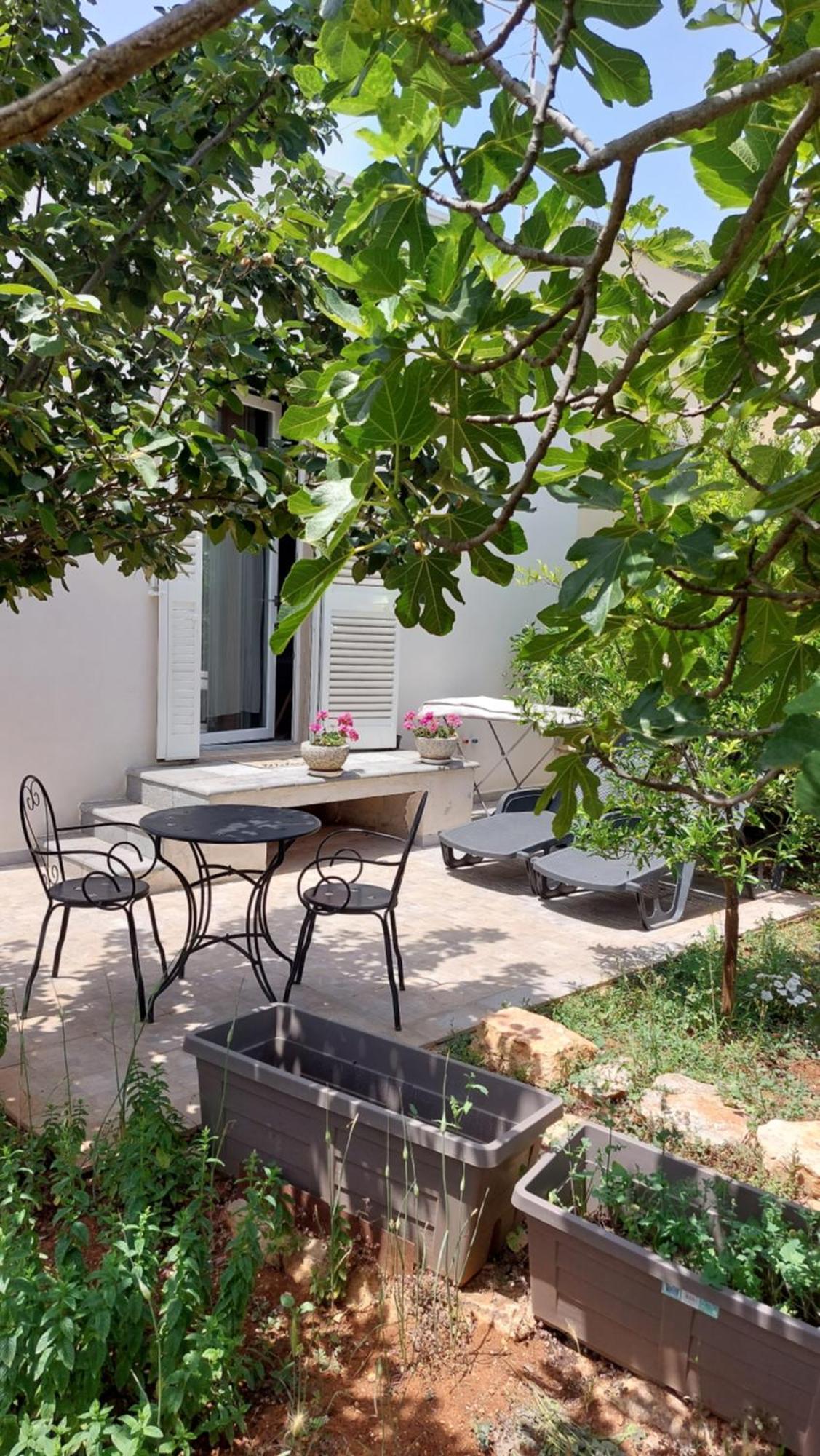 All'Ombra Dell'Ulivo Monopoli Εξωτερικό φωτογραφία