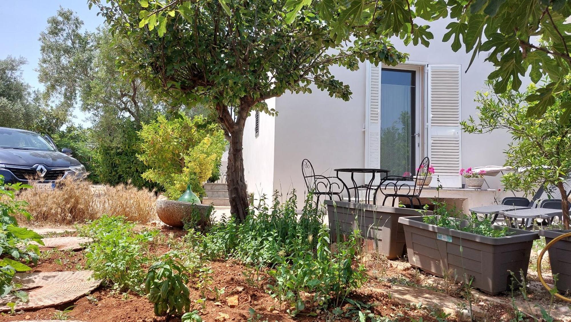 All'Ombra Dell'Ulivo Monopoli Εξωτερικό φωτογραφία